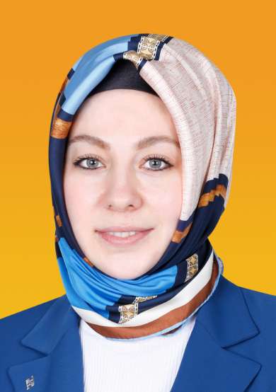 Ak Parti Kadin Kollari Istanbul Istanbul Ak Parti Kadin Kollari Istanbul Istanbul
